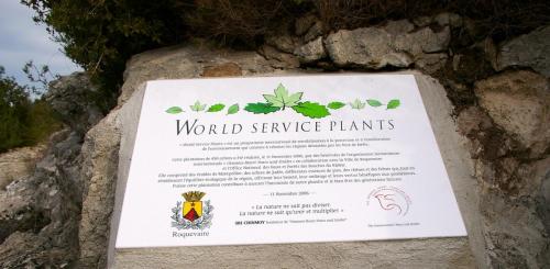 the plaque_0.JPG